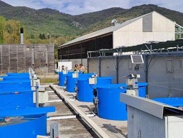 Présentation de la Station d'Écologie Théorique et ...